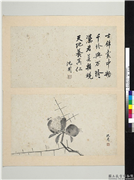 明沈周写意　册　画石榴,绘画,果蔬