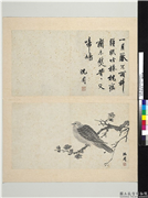 明沈周写意　册　梅鸠图,绘画,翎毛,花草