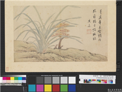 明文嘉诗意图　册　芝兰图,绘画,花草