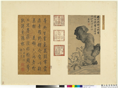 名绘萃珍　册　明唐寅野芳介石,绘画,山水,花草