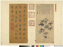 名绘萃珍　册　明文徵明秋葵折枝,绘画,花草