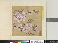 清马元驭花卉　册　碧桃,绘画,花草