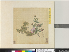 清马元驭花卉　册　海棠金盏柏子,绘画,花草,树木