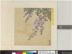 清马元驭花卉　册　紫藤,绘画,花草