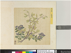 清马元驭花卉　册　蕙兰蓝菊,绘画,花草