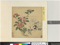 清马元驭花卉　册　蔷薇踯躅,绘画,花草