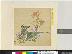 清马元驭花卉　册　萱花石竹枸杞,绘画,花草