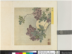 清马元驭花卉　册　紫薇,绘画,花草,山水