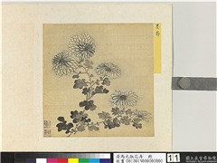 清马元驭花卉　册　墨菊,绘画,花草