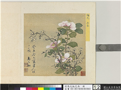 清马元驭花卉　册　梅花山茶,绘画,花草