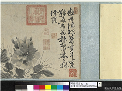 明徐渭写生　卷,绘画,花草,树木