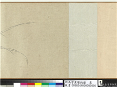 明马守真双钩兰  卷,绘画,花草