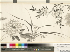 清张画画杂卉　卷,绘画,花草,果蔬,树木