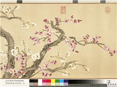 清钱维城画淑景迎韶　卷,绘画,花草