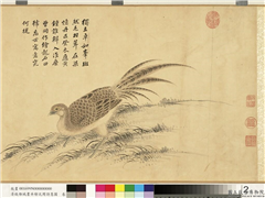 清钱维城书并绘沈周诗意图　卷,绘画,翎毛,花草,山水,果蔬,树木
