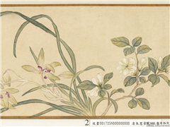 清朱宪章花卉　卷,绘画,花草