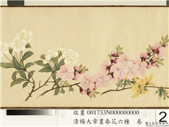 清杨大章画春花六种　卷,绘画,花草