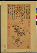 明陈淳茉莉　轴,绘画,花草