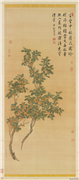 清蒋廷锡桂花　轴,绘画,花草