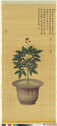 清蒋廷锡人参花　轴,绘画,花草,器用