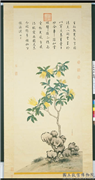 清蒋廷锡佛手写生　轴,绘画,果蔬,山水,花草