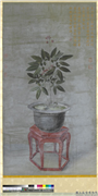 清班达里沙人参花　轴,绘画,花草,器用