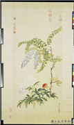清邹一桂画藤花芍药　轴,绘画,花草