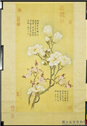 清邹一桂玉兰红杏　轴,绘画,花草