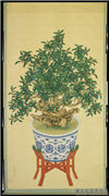 清沈全画桂花　轴,绘画,花草,器用