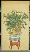 清张恺画盆桂　轴,绘画,花草,器用