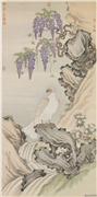 清杨大章画白鹰　轴,绘画,翎毛,花草,山水
