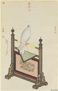 清贺清泰画黄鹰　轴,绘画,翎毛,花草,器用
