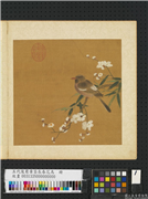 五代後蜀黄筌长春花鸟　册　梅竹翎毛,绘画,花草,翎毛,树木