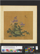 五代後蜀黄筌长春花鸟　册　花卉草虫,绘画,花草,草虫