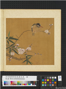 五代後蜀黄筌长春花鸟　册　碧桃翠鸟,绘画,花草,翎毛,树木