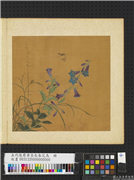 五代後蜀黄筌长春花鸟　册　瓢虫蜜蜂,绘画,花草,草虫