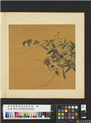 五代後蜀黄筌长春花鸟　册　竹枝翎毛,绘画,翎毛,树木,花草