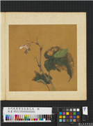 五代後蜀黄筌长春花鸟　册　海棠螽斯,绘画,花草,草虫