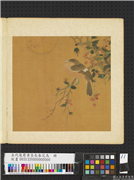 五代後蜀黄筌长春花鸟　册　花卉翎毛,绘画,翎毛,山水,树木,花草