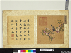 宋徐崇嗣画花卉　册　琼蘂春鸣,绘画,花草,翎毛
