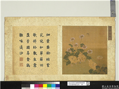 宋徐崇嗣画花卉　册　芳草新雏,绘画,翎毛,花草,草虫