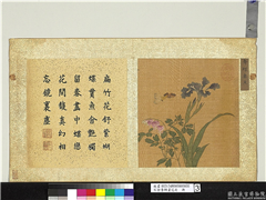 宋徐崇嗣画花卉　册　舞蝶垂鱼,绘画,花草,草虫