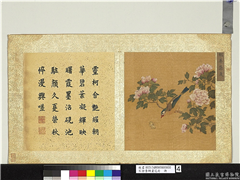 宋徐崇嗣画花卉　册　朝华藻夏,绘画,花草,翎毛,草虫