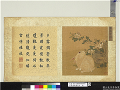 宋徐崇嗣画花卉　册　露薇雪颖,绘画,走兽,花草,山水
