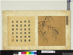宋徐崇嗣画花卉　册　丰年禽乐,绘画,五谷,翎毛