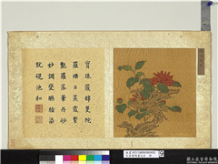 宋徐崇嗣画花卉　册　鹤顶凌寒,绘画,花草,树木