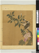 宋钱选写生图　册　白头翁,绘画,翎毛,花草
