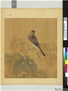 宋钱选写生图　册　桑鳲,绘画,翎毛,树木