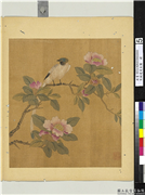 宋钱选写生图　册　茶花寿带,绘画,花草,翎毛
