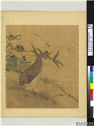 宋钱选写生图　册　鹌鹑,绘画,翎毛,花草